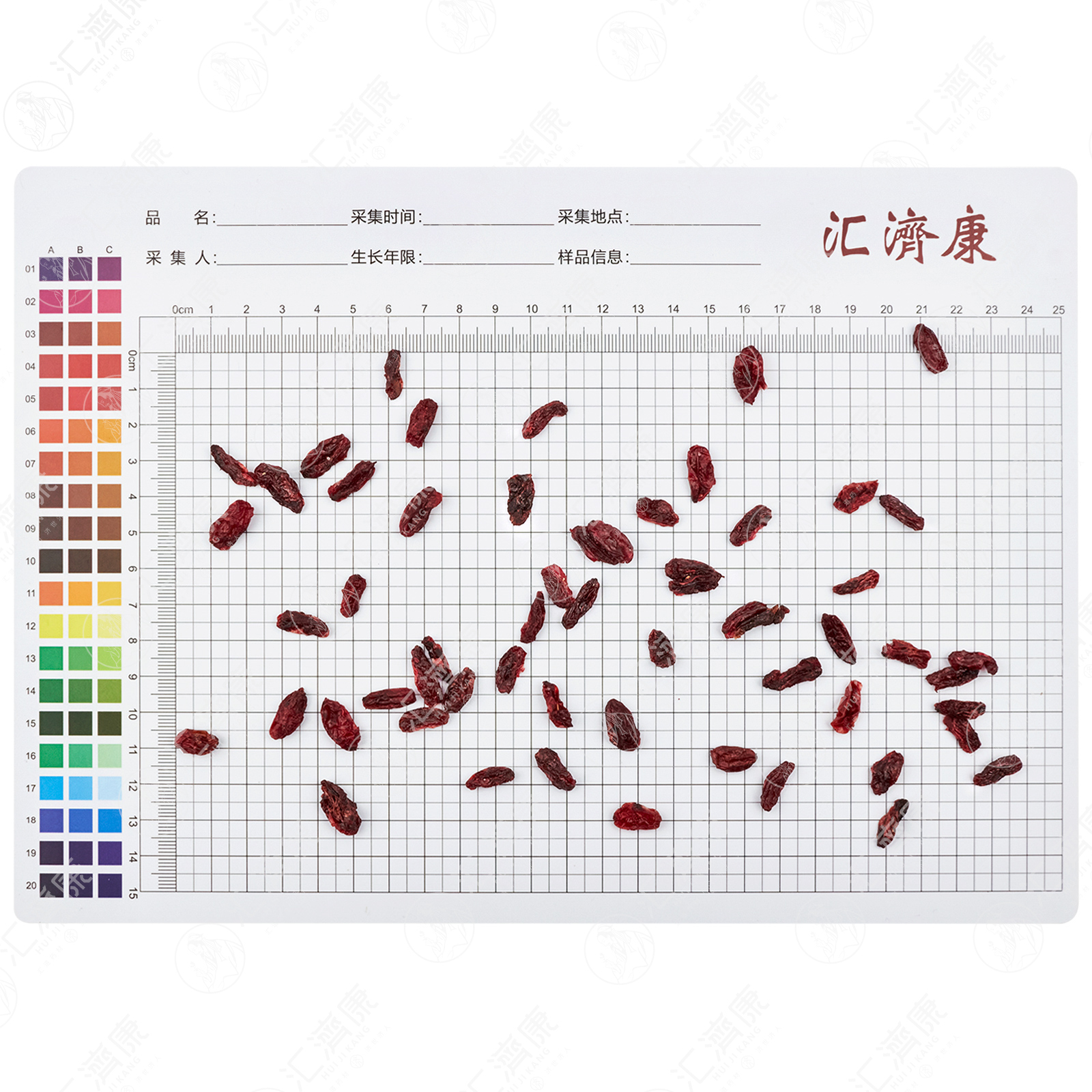 山萸肉 图片 2