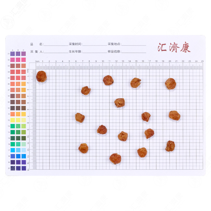 龙眼肉 图片 2