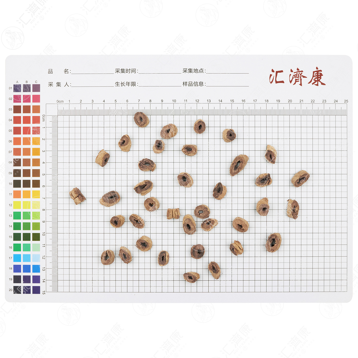 巴戟肉 图片 2
