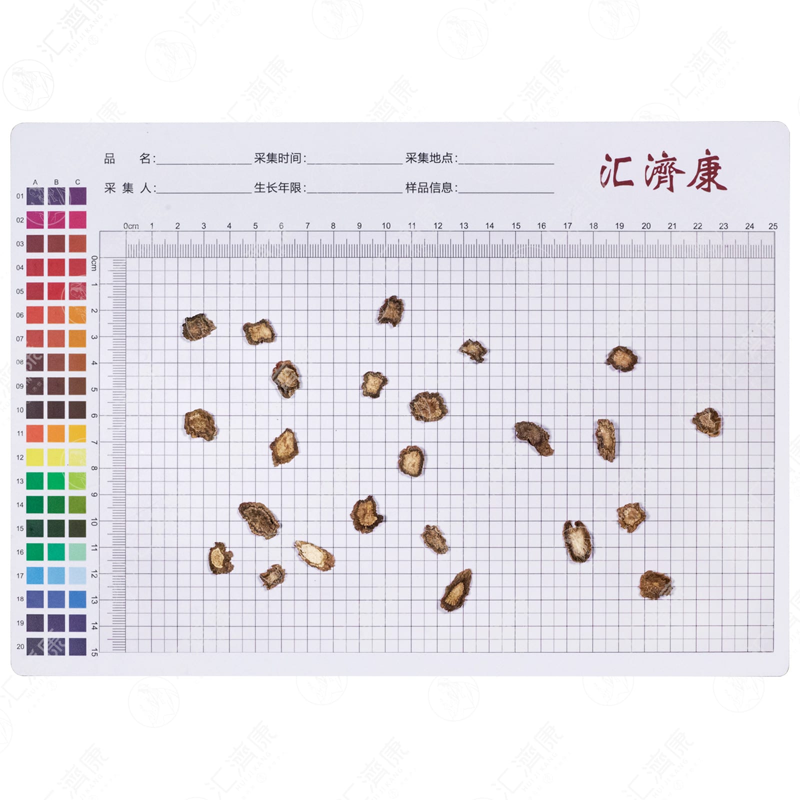 续断片（0.8-1.2） 图片 2