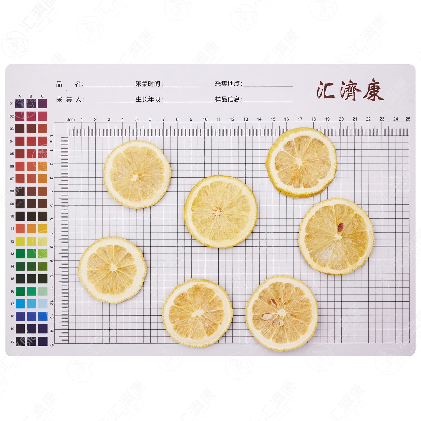 柠檬（冻干） 图片 2