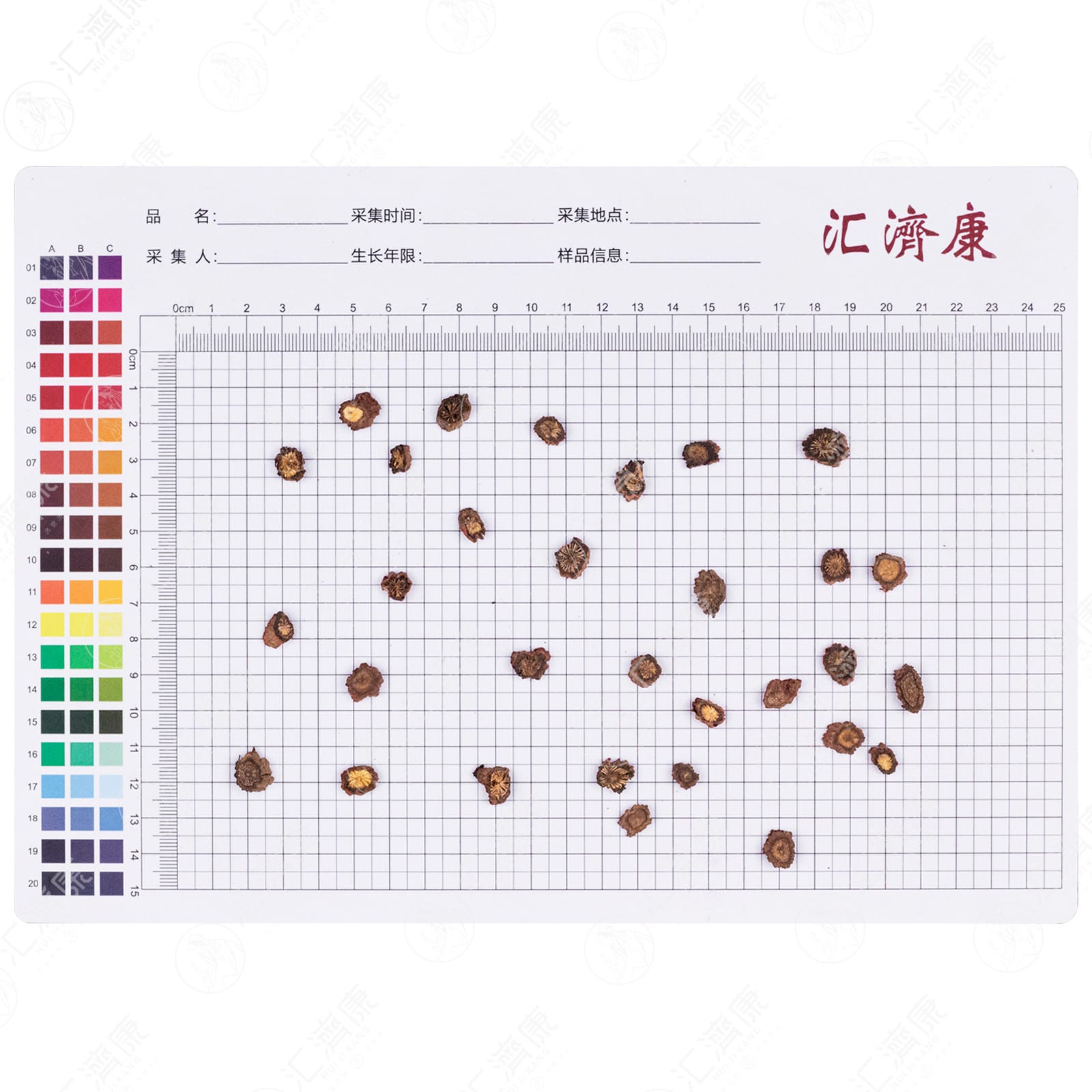 丹参（0.8cm） 图片 2