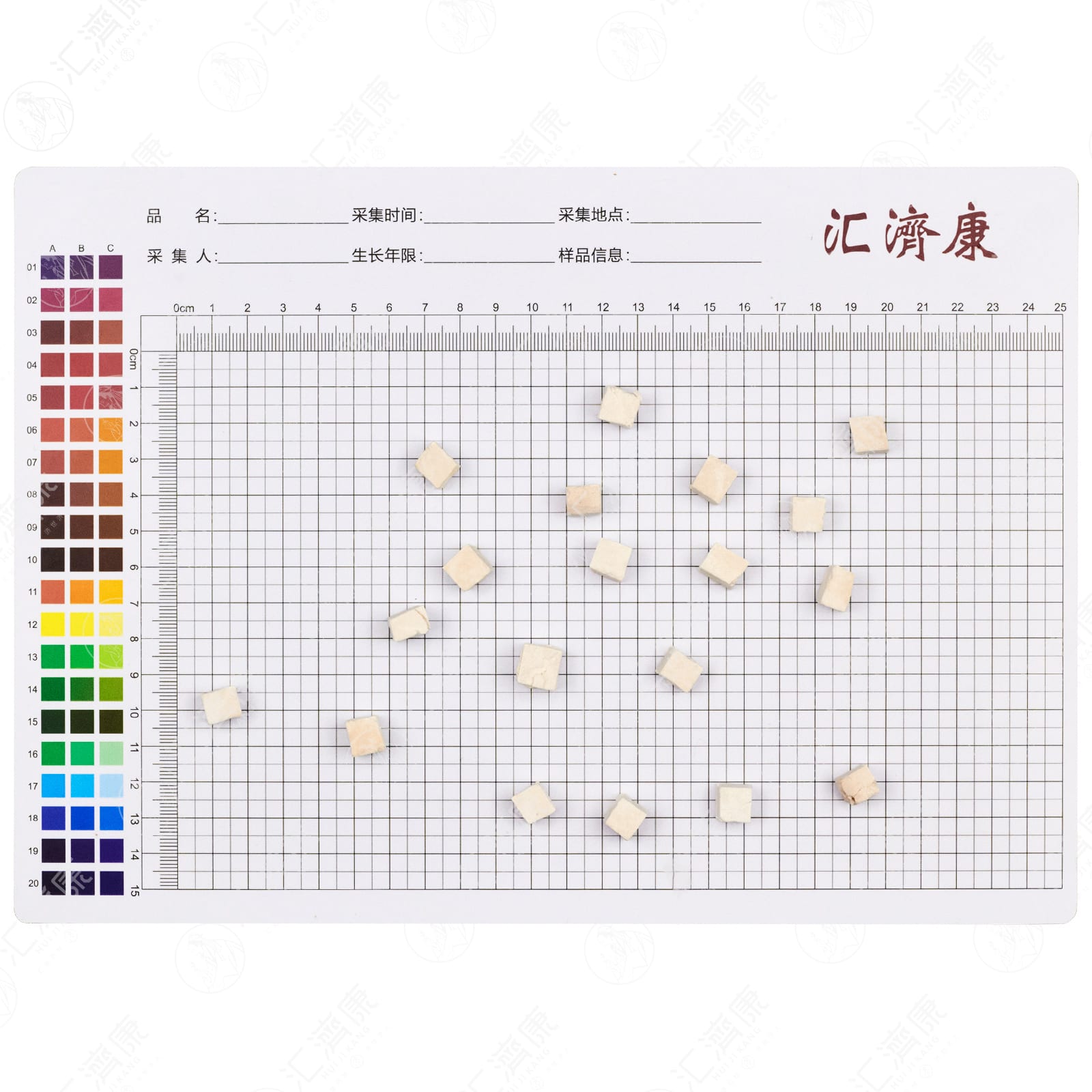 茯苓 图片 2