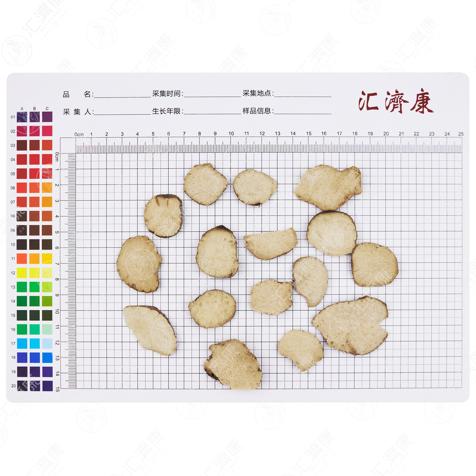 泽泻（3cm以上） 图片 2