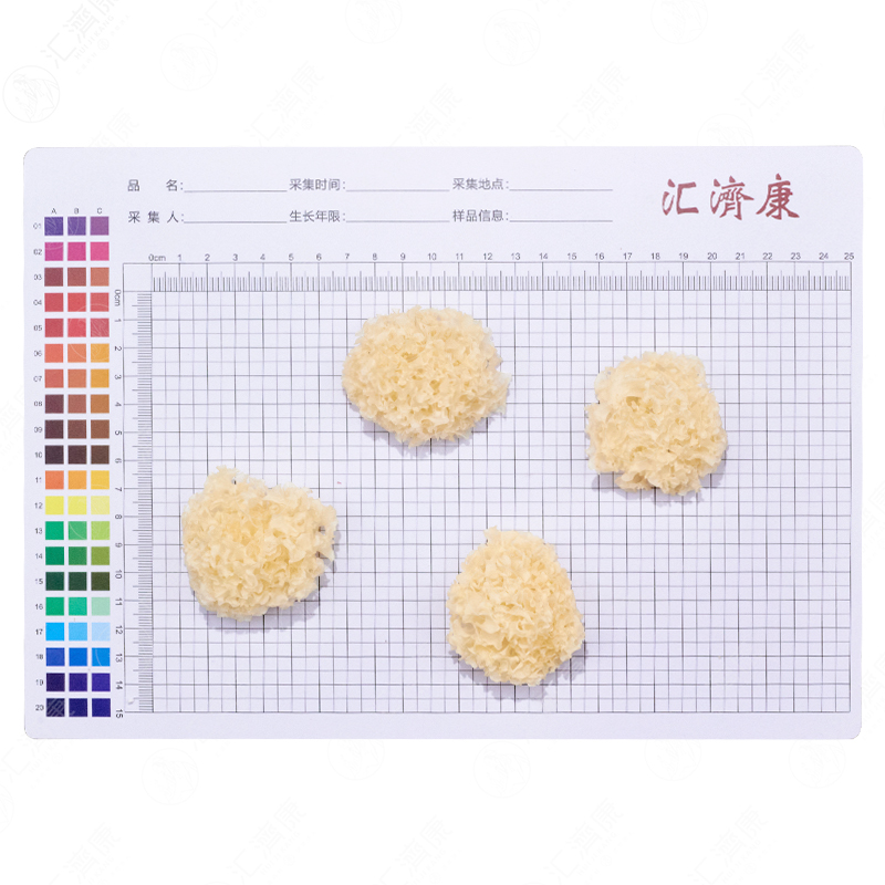 银耳 图片 2
