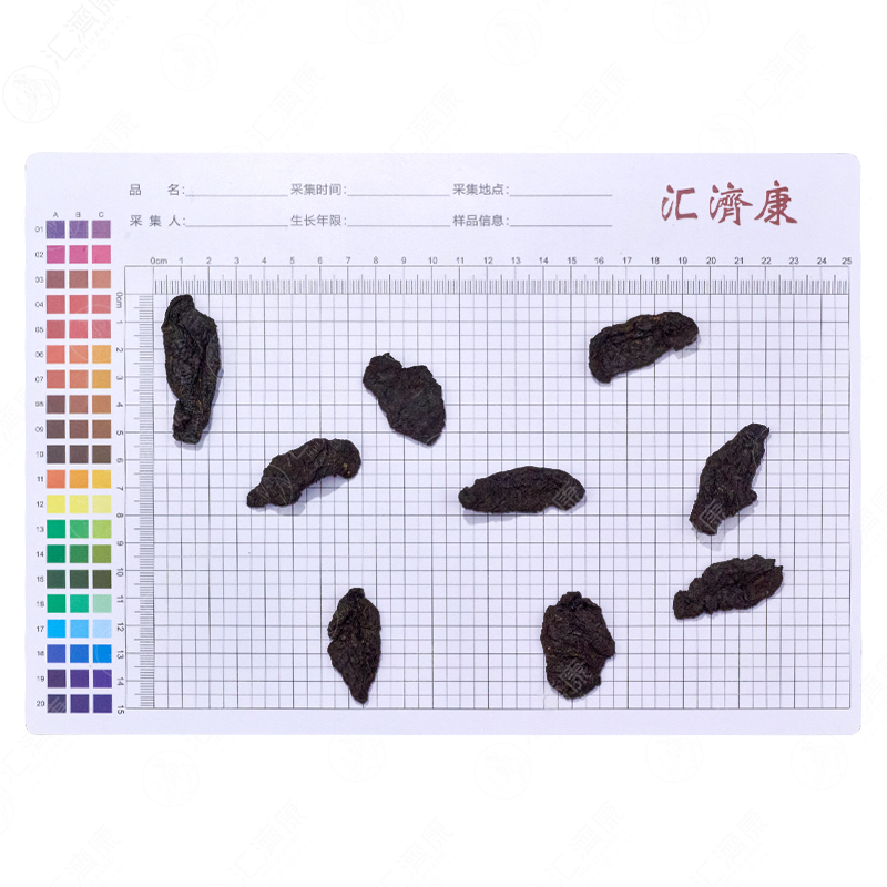 熟地黄 图片 2