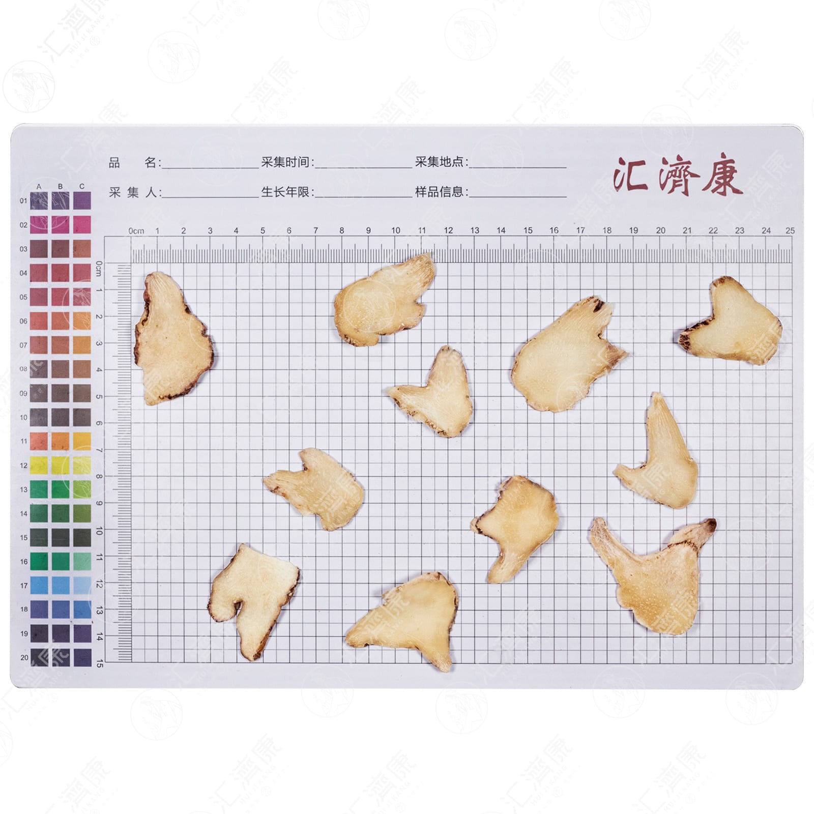 白及（大片） 图片 2