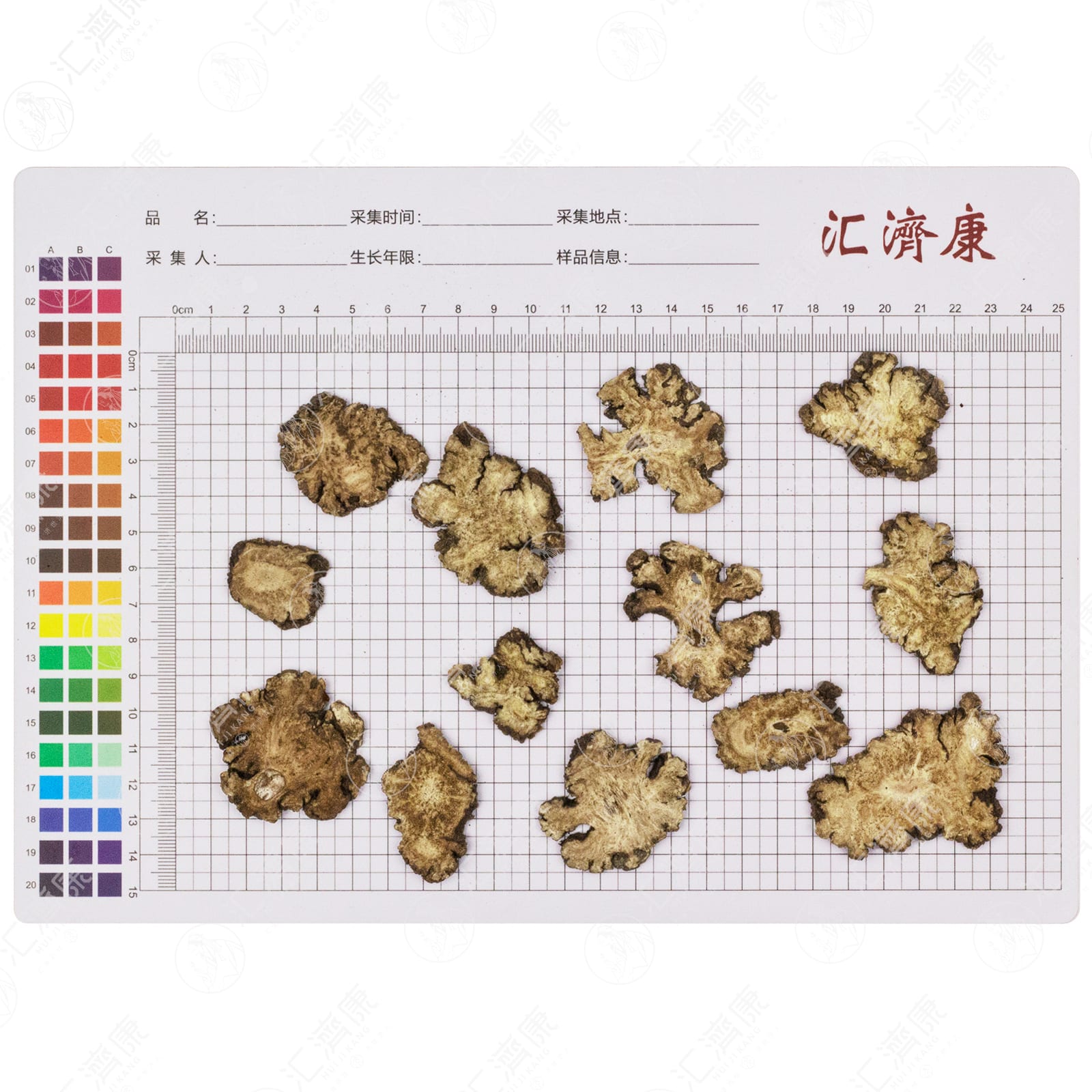 川芎 图片 2
