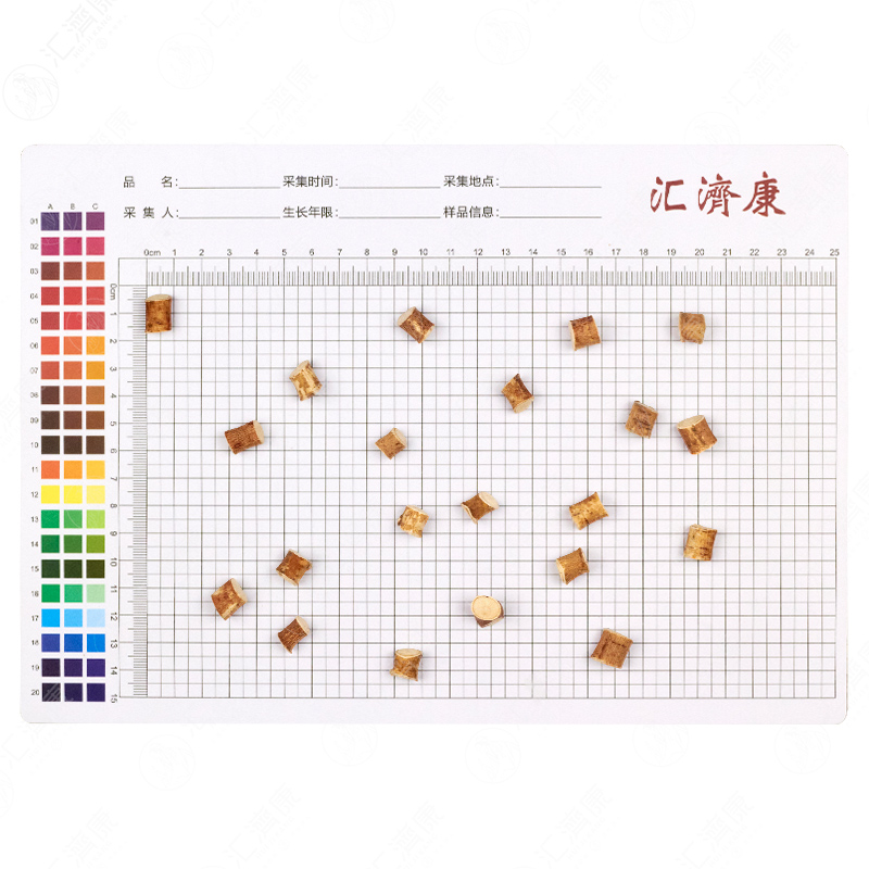 五指毛桃 图片 2