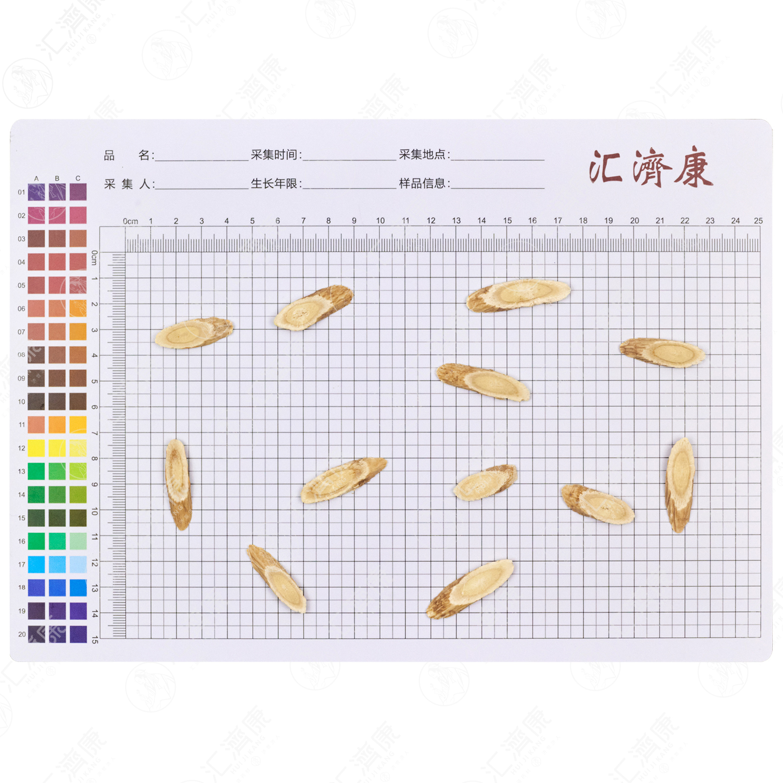黄芪 图片 2