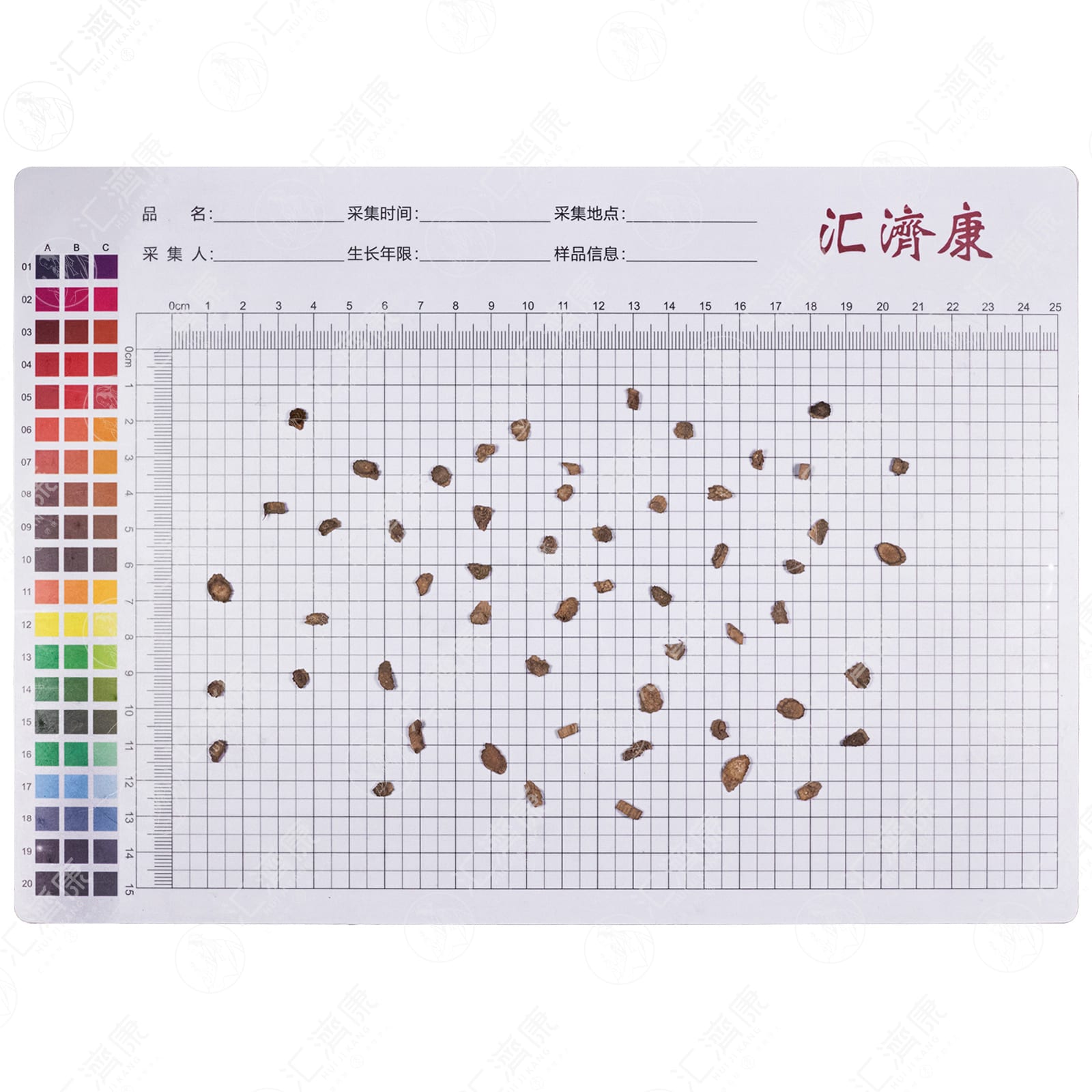 川牛膝（0.4-0.8） 图片 2