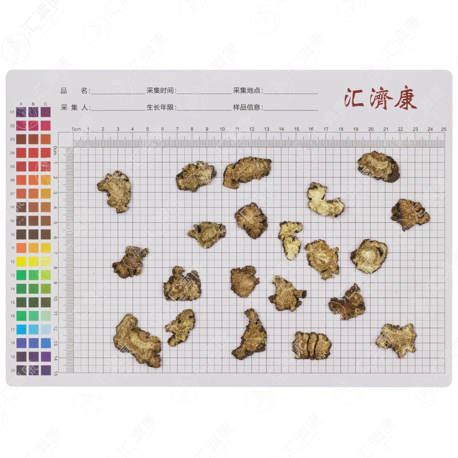 川芎 图片 2