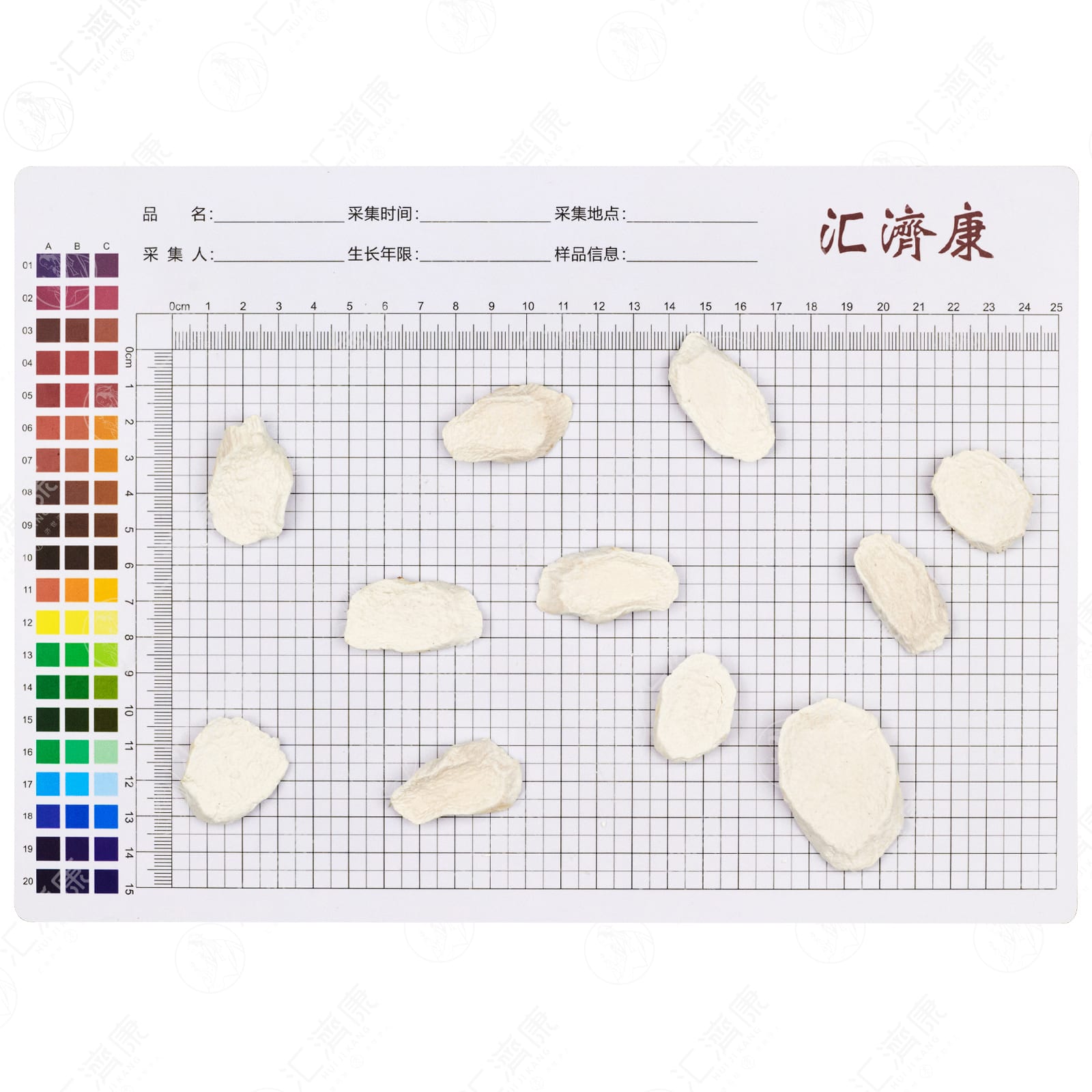 山药片 图片 2