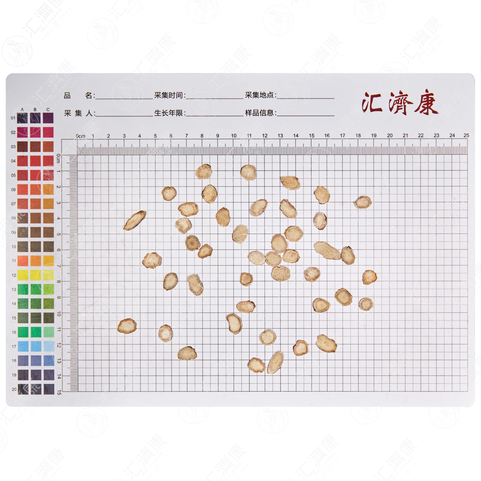 白芍（0.4-1.2） 图片 2