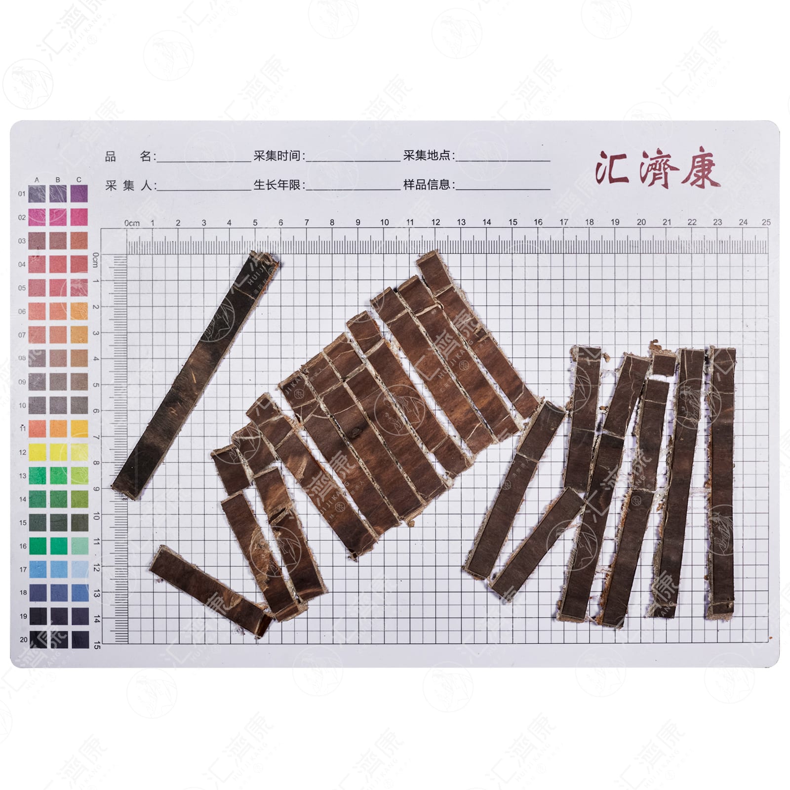 杜仲（宽丝） 图片 2