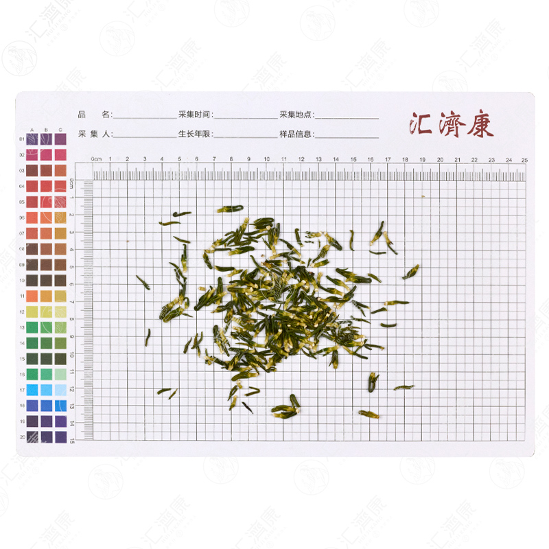 莲子心 图片 2