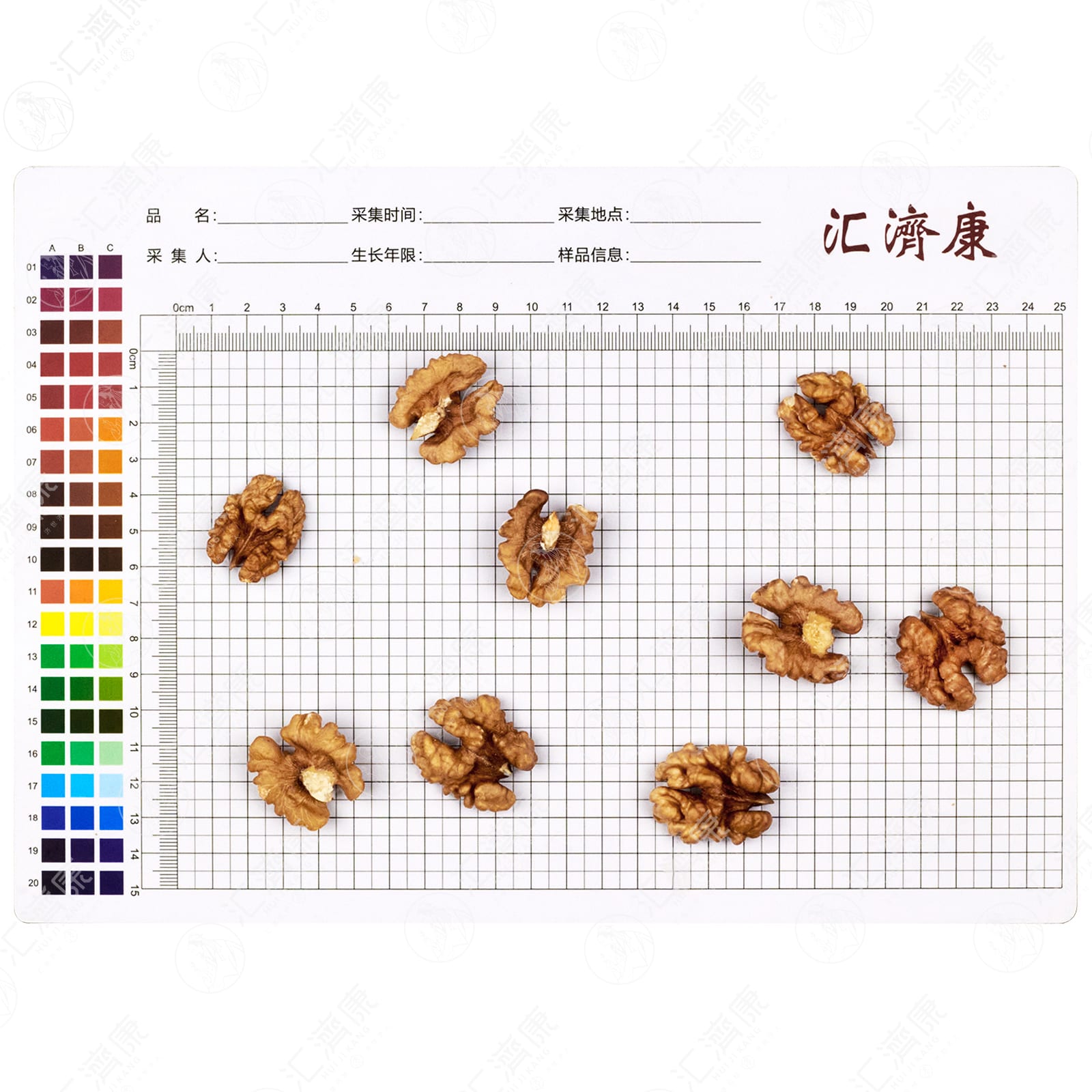 核桃仁 图片 2