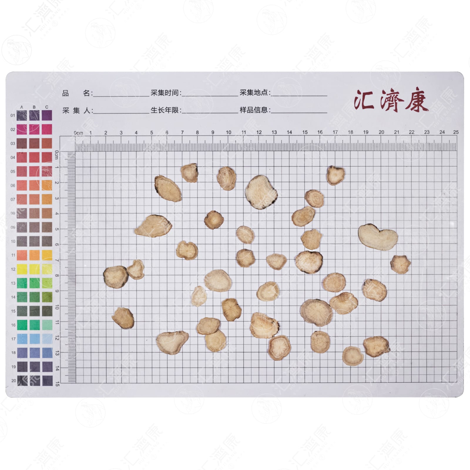 白芍 图片 2