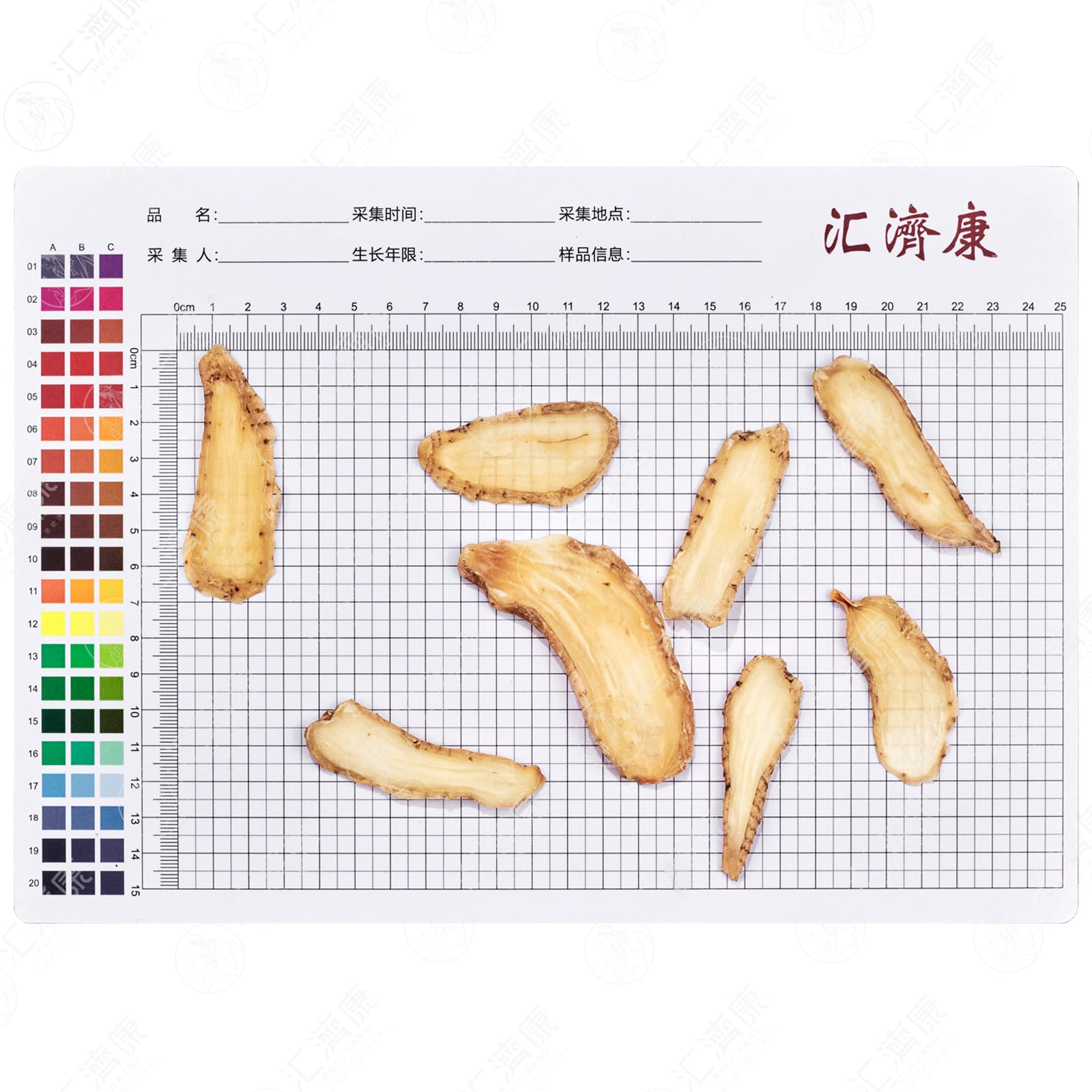 天麻 图片 2