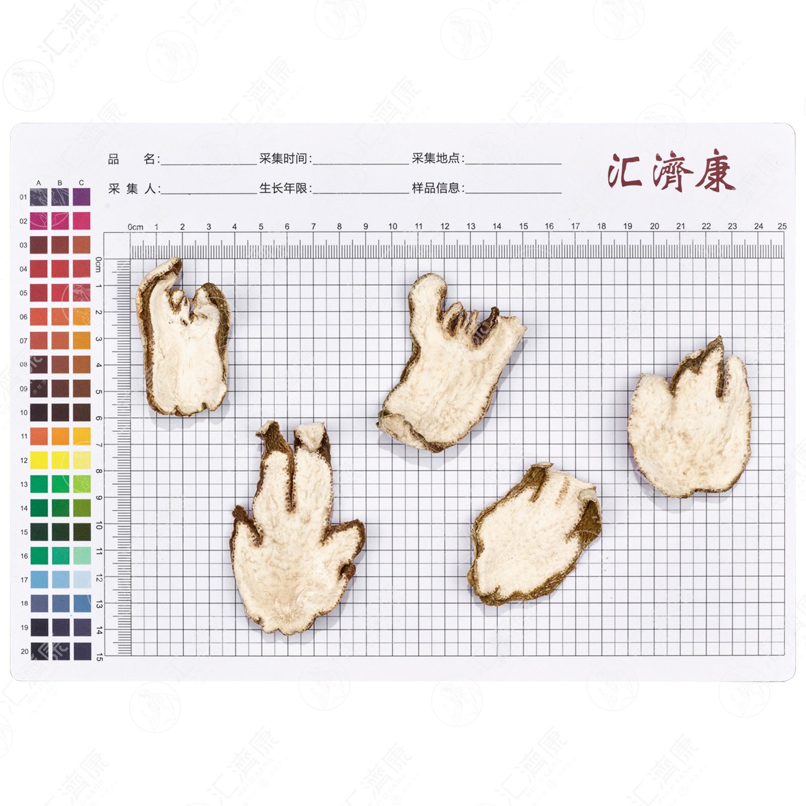 佛手 图片 2