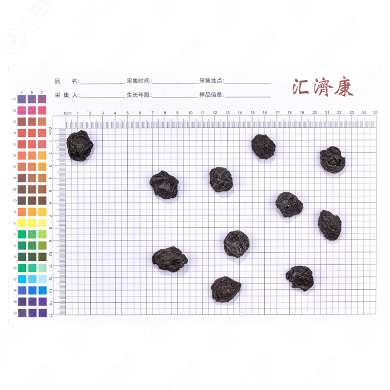 乌梅 图片 2