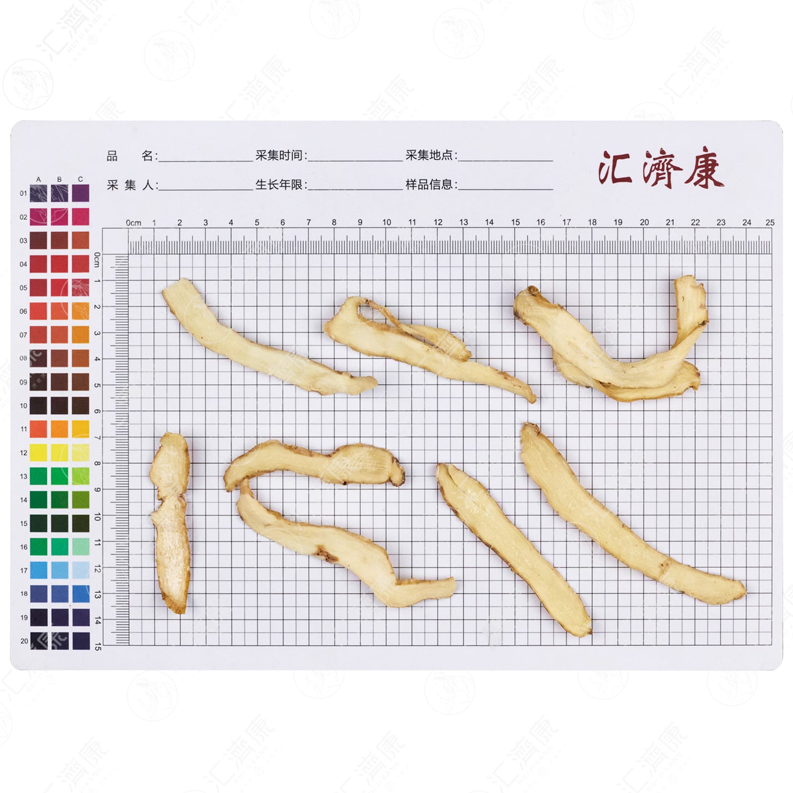 玉竹 图片 2