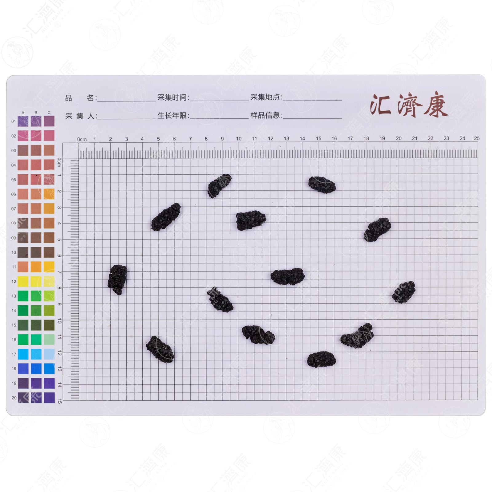 桑椹 图片 2