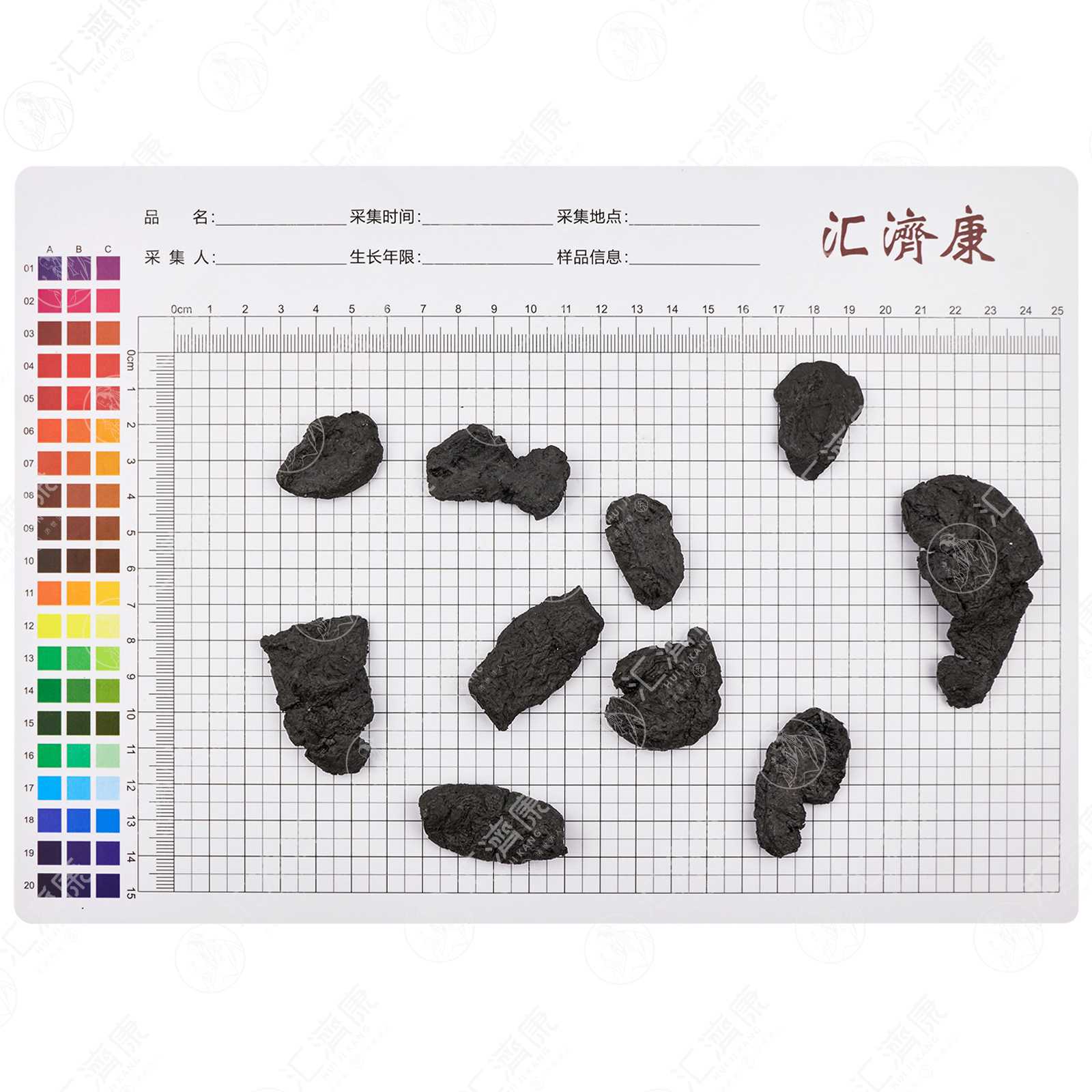 熟地黄 图片 2
