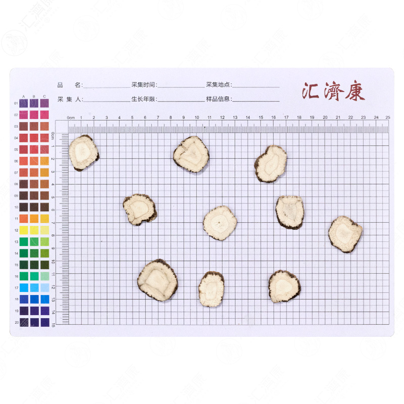 白芷 图片 2